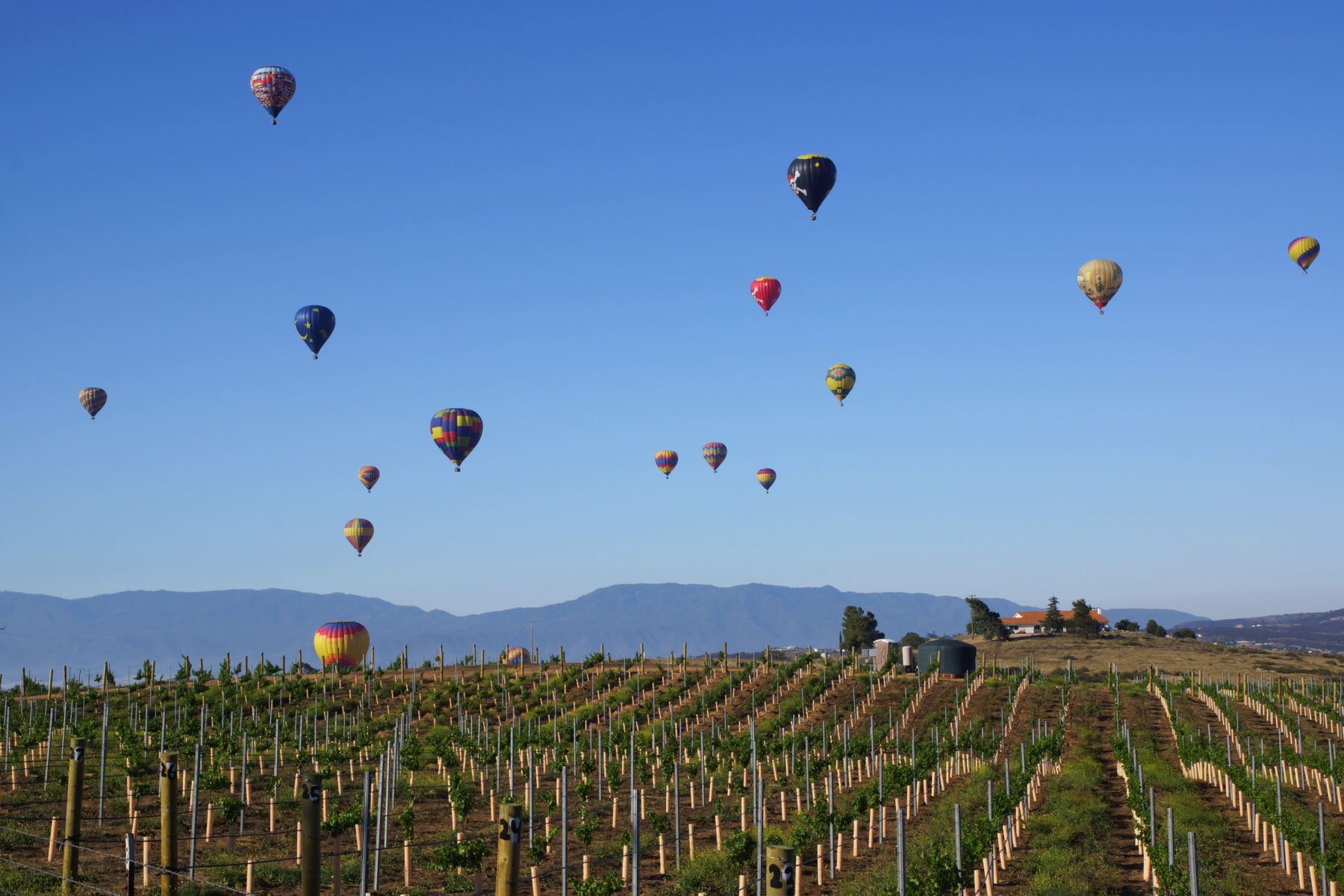 A view of hot air balloons form a farming land.